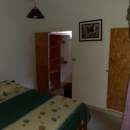 Backpacker Kitara House Hotell Tarapoto Exteriör bild