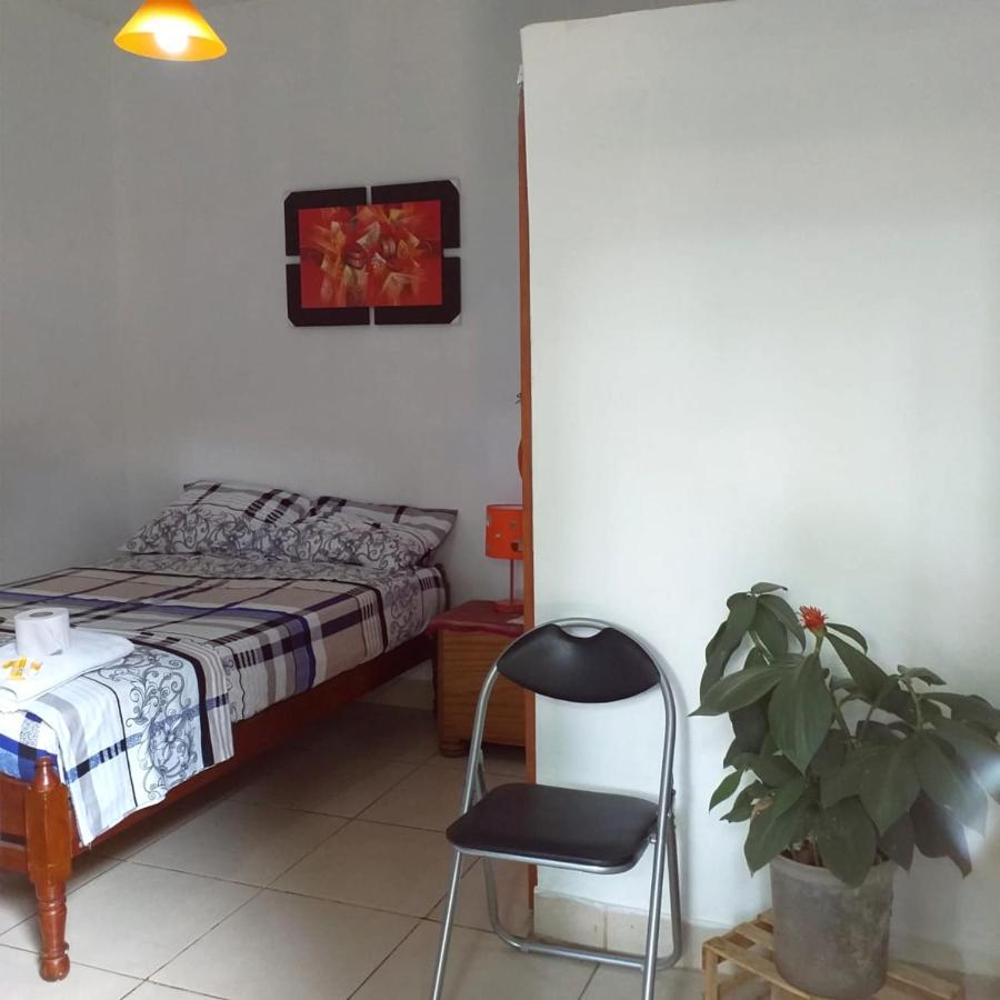 Backpacker Kitara House Hotell Tarapoto Exteriör bild