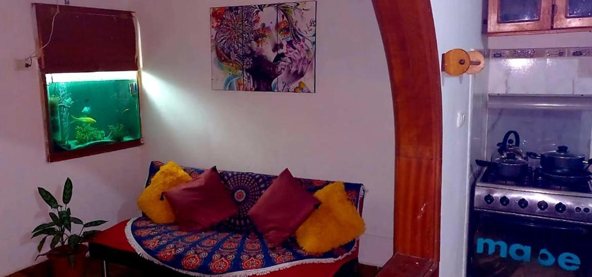 Backpacker Kitara House Hotell Tarapoto Exteriör bild