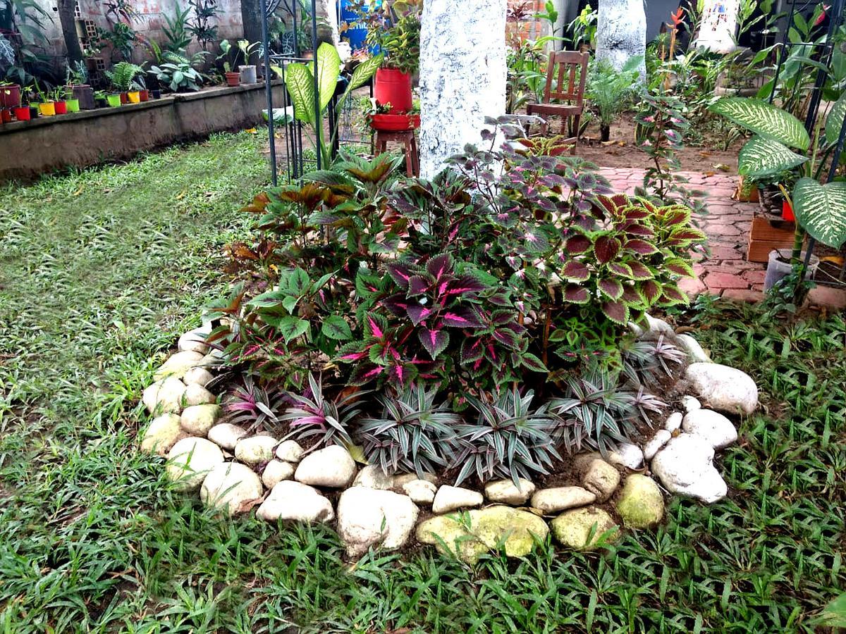 Backpacker Kitara House Hotell Tarapoto Exteriör bild