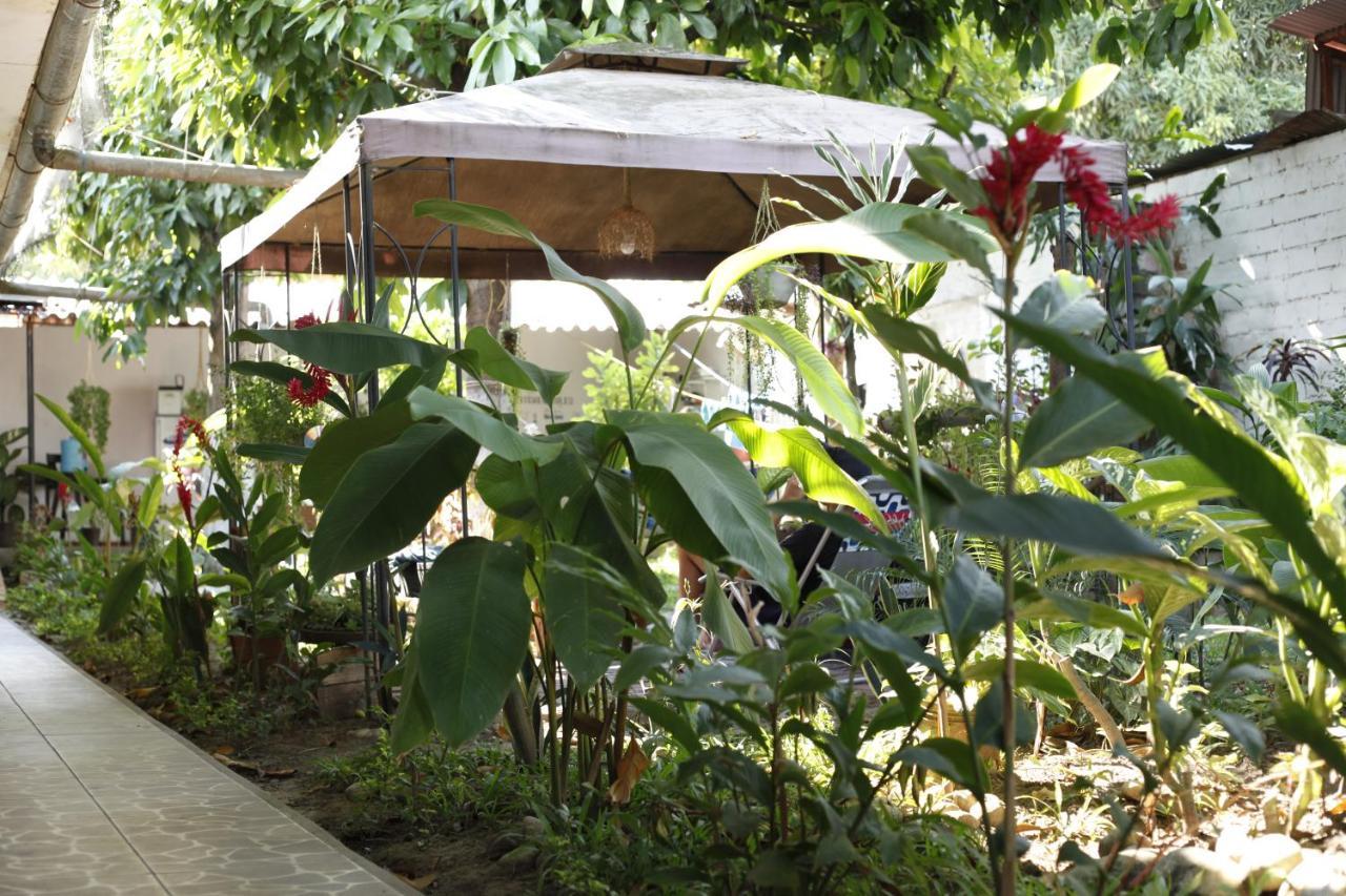 Backpacker Kitara House Hotell Tarapoto Exteriör bild