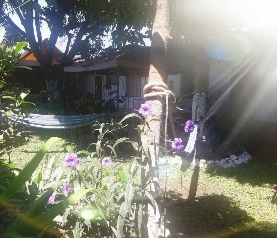 Backpacker Kitara House Hotell Tarapoto Exteriör bild